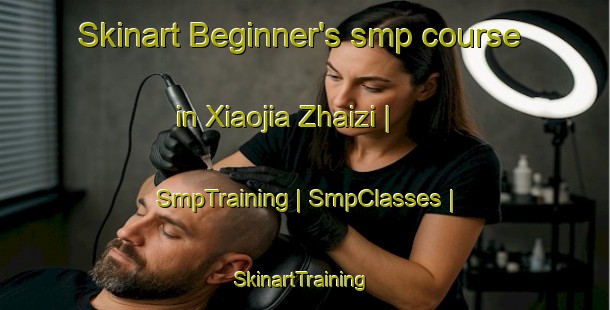 Skinart Beginner's smp course in Xiaojia Zhaizi | SmpTraining | SmpClasses | SkinartTraining-China